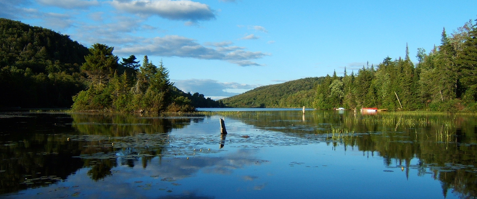 reflection-freeimages1313548_1440x600