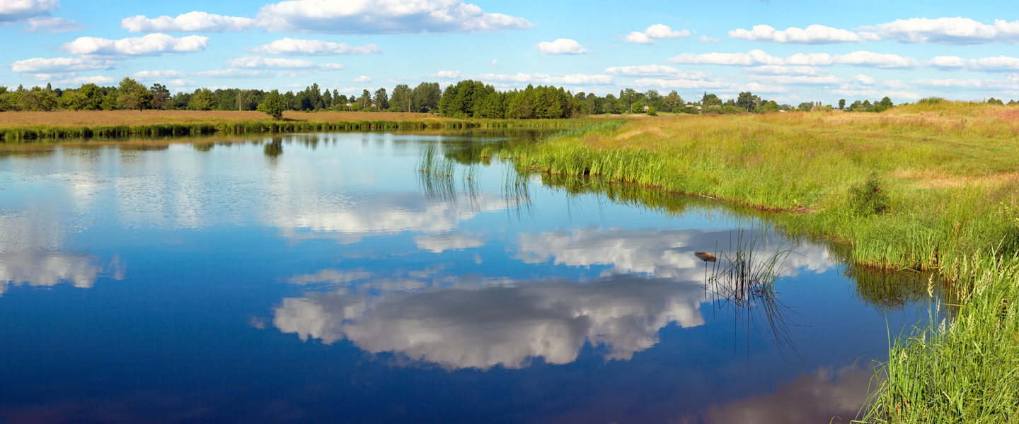 summer-rushy-lake-panorama-iStock152544910-1440x600